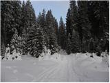 Planina Zajavornik - Blejska koča na Lipanci